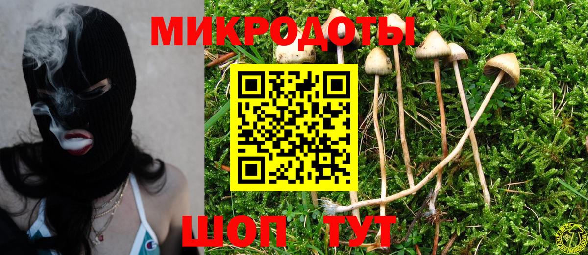 Галлюциногенные грибы Psilocybe Шадринск